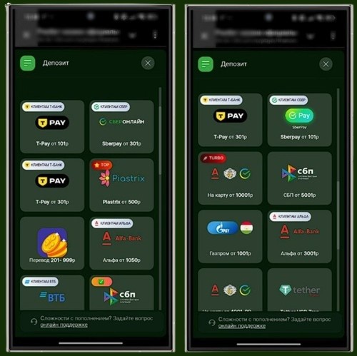 Способы оплаты в Riobet Casino